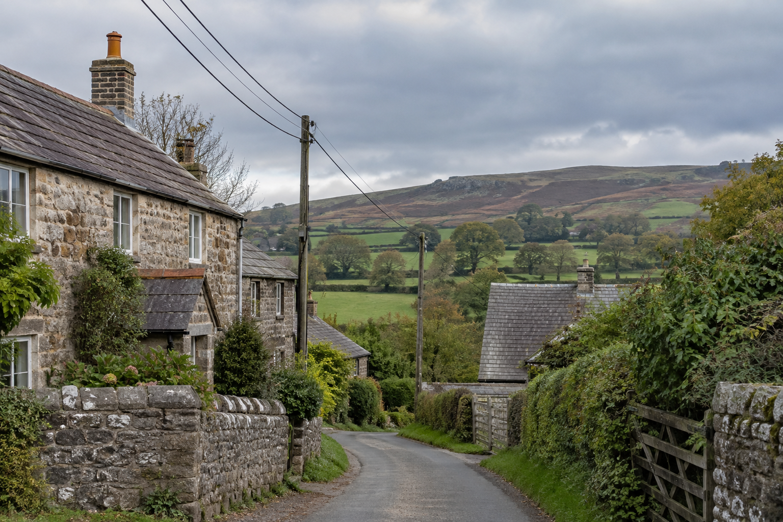 Overhead electricity lines beside granite cottages on a rural Devon lane, with green fields beyond.